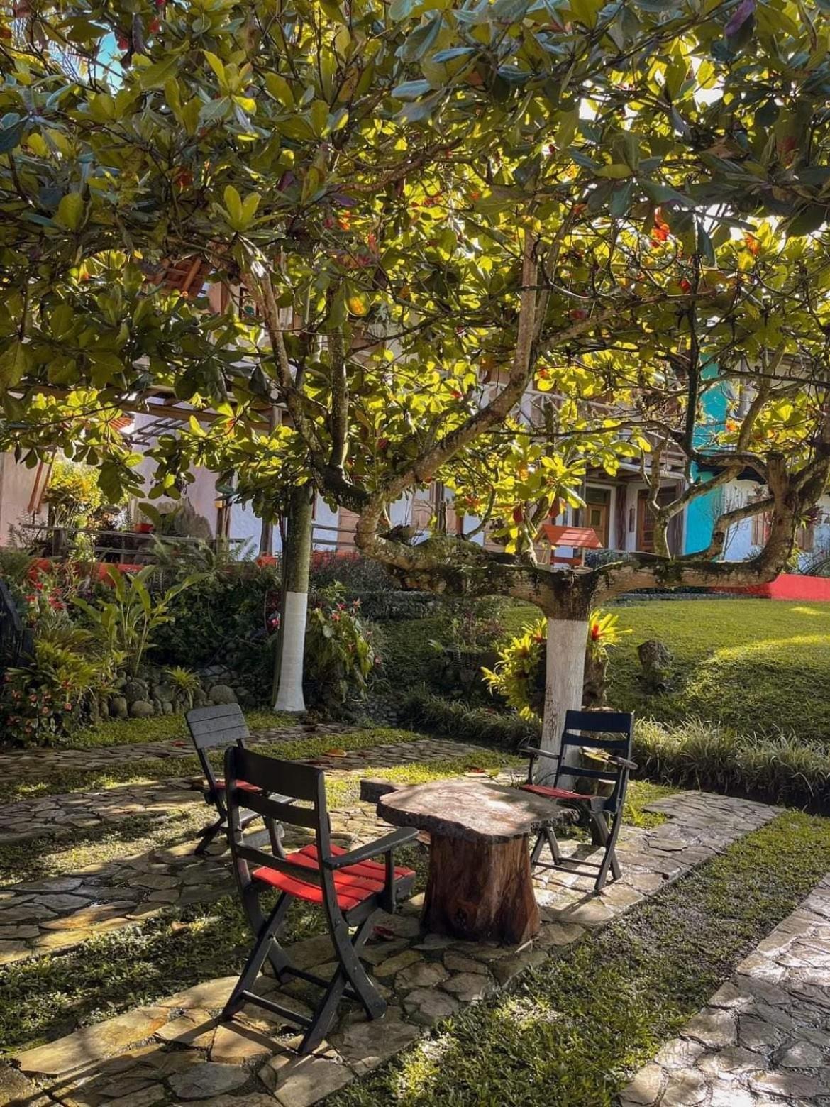 Finca Hotel Palmas Frente A Panaca 킴바야 외부 사진