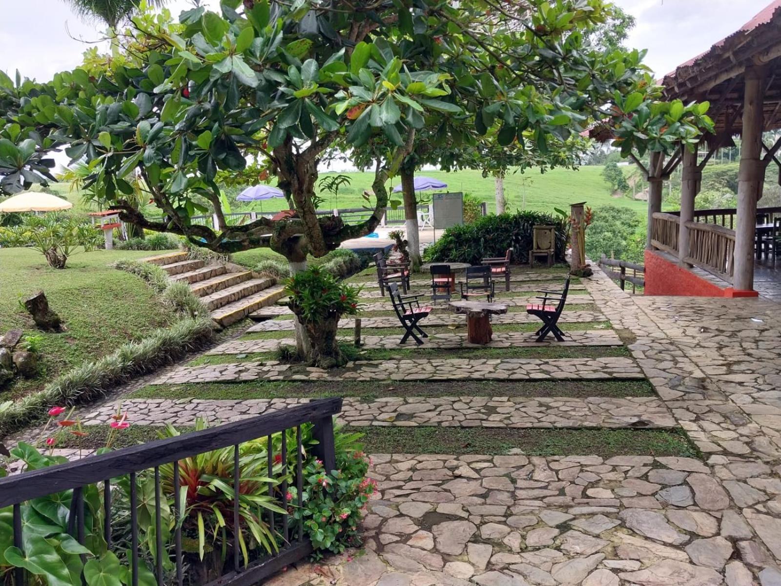 Finca Hotel Palmas Frente A Panaca 킴바야 외부 사진